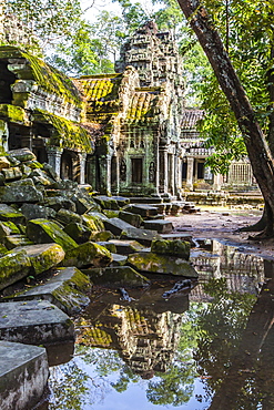 Reflections at Ta Prohm Temple (Rajavihara), Angkor, UNESCO World Heritage Site, Siem Reap Province, Cambodia, Indochina, Southeast Asia, Asia 