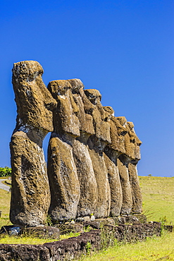 Seven Moai at Ahu Akivi, the first restored altar on Easter Island (Isla de Pascua) (Rapa Nui), UNESCO World Heritage Site, Chile, South America