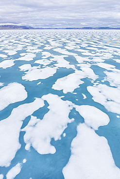 Shorefast ice starting to melt in Maxwell Bay, Devon Island, Nunavut, Canada