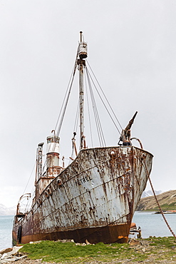The whale catcher ship Petrel on display at the abandoned and recently restored whaling station at Grytviken, South Georgia, UK Overseas Protectorate