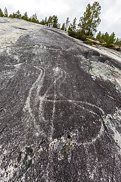 Leiknes Rock Paintings depicting two swans, drawn by the ancestors of the Saami perhaps 9000 years ago, Leiknes, Troms, Norway, Scandinavia, Europe