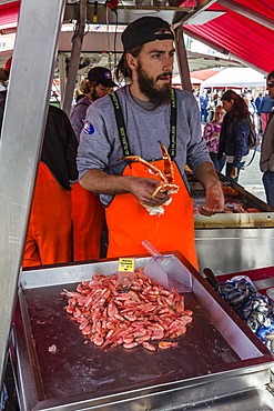 Fresh seafood at market on the dock in the harbour at Bergen, Norway, Scandinavia, Europe