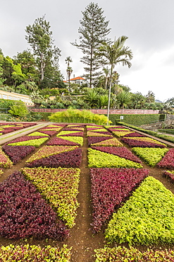 A view of the Botanical Gardens, Jardim Botanico do Funchal, in the city of Funchal, Madeira, Portugal, Europe