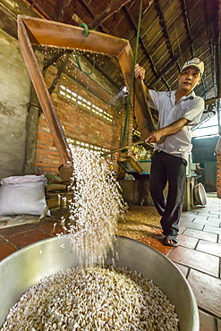 Man making palm sugar rice candy at Cai Be, Vietnam, Indochina, Southeast Asia, Asia