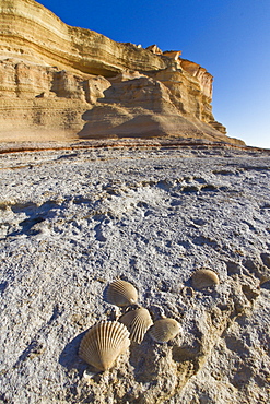 Punta Colorado, Isla San Jose, Gulf of California (Sea of Cortez), Baja California Sur, Mexico, North America