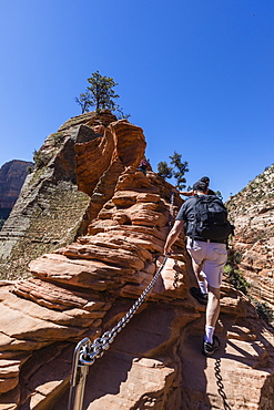 Hiking the Angel's Landing Trail in Zion National Park, Utah, United States of America, North America