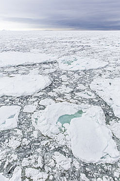 First year sea ice at Cape Fanshawe, Spitsbergen, Svalbard, Arctic, Norway, Europe