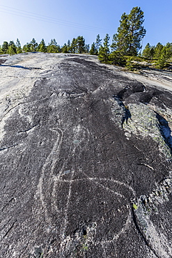 Animal forms in the 9000 year old ground and polished Stone Age rock art at Leiknes, Norway, Scandinavia, Europe