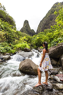 Hawaiian native, Iao Valley, Maui, Hawaii, United States of America, Pacific