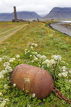 Abandoned whale shore processing station, Talknafjorour, Iceland, Polar Regions