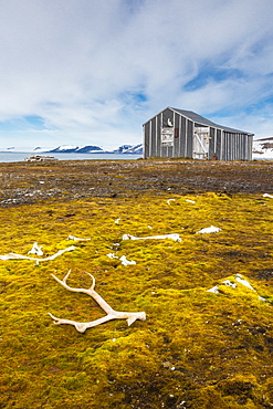 Norwegian hunters cabin, Barentsoya (Barents Island), Svalbard Archipelago, Norway, Scandinavia, Europe 