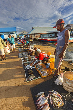 Vendors selling fresh fish at the fish market in Sorong, the largest city of the Indonesian province of Southwest Papua, Indonesia, Southeast Asia, Asia