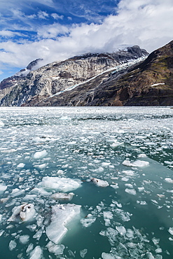 Johns Hopkins Inlet, Fairweather Range, Glacier Bay National Park and Preserve, Southeast Alaska, United States of America, North America 