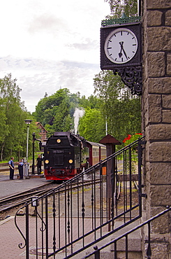 Alexisbad Station, Harz, Saxony-Anhalt, Germany, Europe