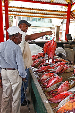 Victoria Fish Market, Mahe Island Seychelles, Indian Ocean