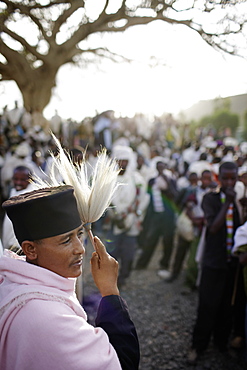 Group of believers around a meeting tree, priest with horsehair frond in foreground, Axum, Tigray Region, Ethiopia