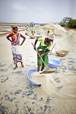 Women working at a salt mine, Grama Panchayat lagune, Gokarna, Karnataka, India