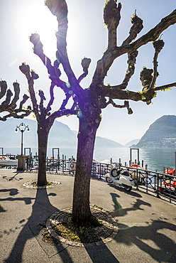 Lake shore in Lugano, Lake Lugano, canton of Ticino, Switzerland