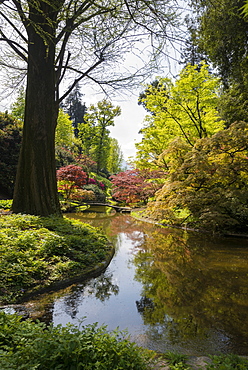 English style gardens of Villa Melzi, Bellagio, Lake Como, Lago di Como, Province of Como, Lombardy, Italy