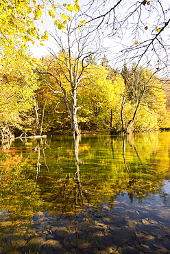 Autumnal forest and the Meander of the river Wuerm, Gauting, Bavaria, Germany