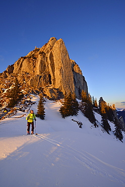 Female back-country skier ascending to Risserkogel, Blankenstein in background, Bavarian Prealps, Upper Bavaria, Germany