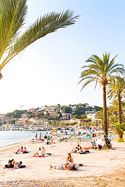 Beach with palm trees, Mediterranean Sea, Port de Soller, Serra de Tramuntana, Majorca, Balearic Islands, Spain, Europe