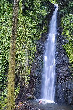 man bathing in a natural pool under a waterfall in the jungle, Dark View Falls, St. Vincent, Saint Vincent and the Grenadines, Lesser Antilles, West Indies, Windward Islands, Antilles, Caribbean, Central America