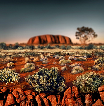 Ayers Rock (Uluru) at sunset, Northern Territory, Australia