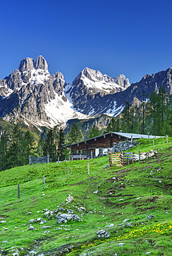 Alpine hut with mount Bischofsmuetze in background, Sulzenalm, Dachstein Mountains, Salzburg, Austria