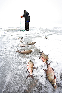 icefisher on Usedom, Mecklenburg Vorpommern, Germany, Europe