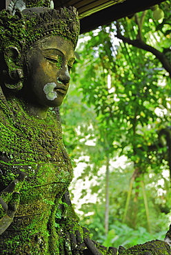 Mossy balinese figure, Ubud, Central Bali, Indonesia