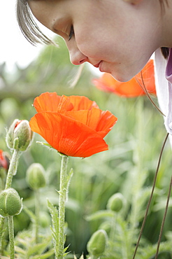 Young girl looking down at poppy