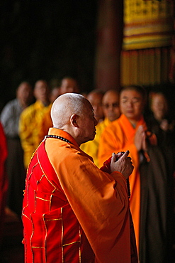 monk, abbot, prayer, Taihuai, Wutai Shan, Five Terrace Mountain, Buddhist Centre, town of Taihuai, Shanxi province, China, Asia