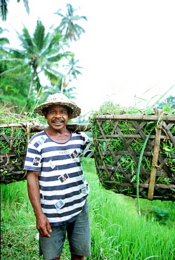 farmer in bali, rice, indonesia