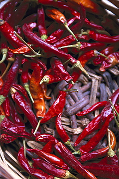 Dried chili peppers in a basket, Finca Monaber Vell, Majorca, Spain, Europe