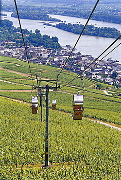 View at chair lift above idyllic landscape, Rudesheim, Rheingau, Hesse, Germany, Europe