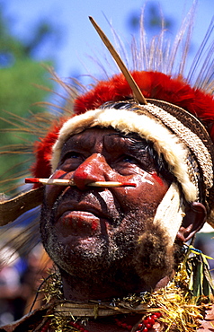 Local man with painted face at the Huli Sing Sing festival, Mt Hagen, Eastern Highlands, Papua New Guinea, Melanesia