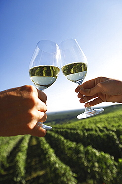 Couple clinking white wine glasses, vineyard in background