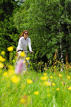 Female cyclist riding through sea of flowers, Bavarian Forest National Park, Lower Bavaria, Bavaria, Germany