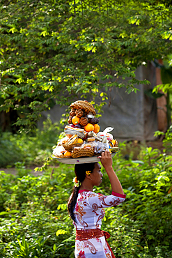 A young Balinese woman, balancing offerings on her head. Bali, Indonesia.