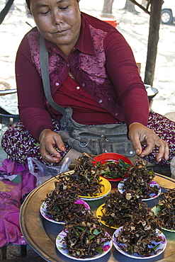 Small fried frogs for sale in the market, Oudong (Udong), Kampong Speu, Cambodia, Asia