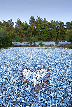 Flint fields in the Schmalen Heide, Ruegen, Baltic Sea, Mecklenburg-Western Pomerania, Germany