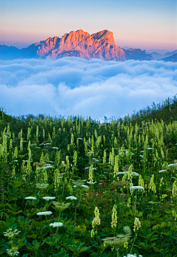 Sunset in the Carnic Alps, mount Creta Grauzaria, Friuli Venezia Giulia region, province Udine, Italy