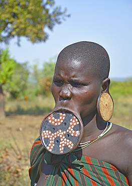 Ethiopia; Southern Nations Region; Mago National Park; lower Omo River; Mursi woman with lip plate and earrings;