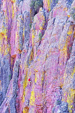 Man rock climbing, Oak Creek Canyon, Arizona, USA, North America