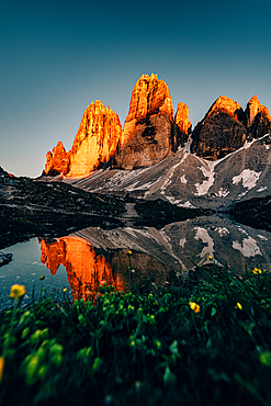 Alpenglow Drei Zinnen in the Sesto Dolomites, South Tyrol, Italy, Europe;