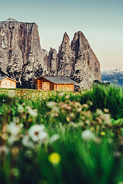 Sunrise on the Schlern, Seiser Alm, South Tyrol, Italy, Europe