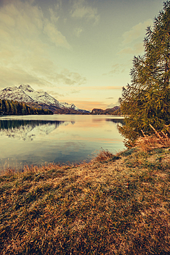 Sunrise on Lake Sils, Engadin, Grisons, Switzerland, Europe