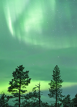 Northern lights, northern lights, Muonio, Lapland, Finland