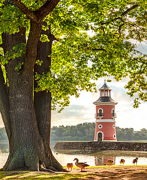 Miniature harbor and Saxony's only lighthouse at the Fasanenschlösschen near Moritzburg Castle, Saxony, Germany